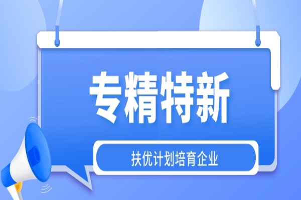 第二批廣州市“專精特新”扶優(yōu)計(jì)劃培育企業(yè)申報(bào)（專精特新的條件）