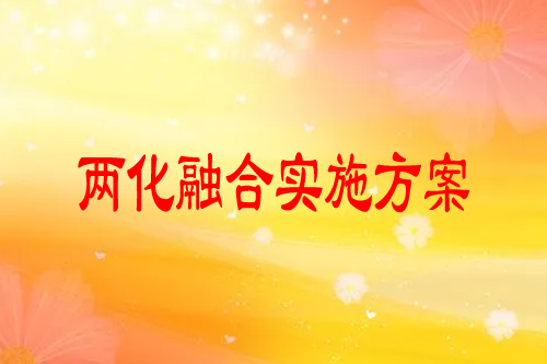 定州市兩化融合實施方案