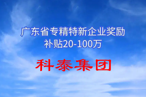 省級(jí)專精特新企業(yè)有什么補(bǔ)助