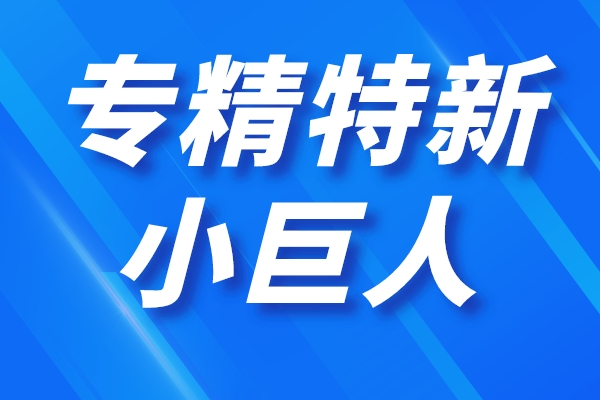 深圳市第四批專(zhuān)精特新“小巨人”企業(yè)和第一批專(zhuān)精特新“小巨人”復(fù)核通過(guò)企業(yè)名單公示