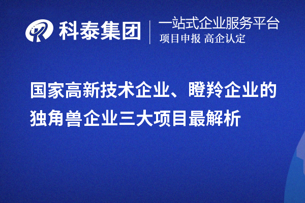 國家高新技術(shù)企業(yè)、瞪羚企業(yè)的獨角獸企業(yè)三大項目最解析
