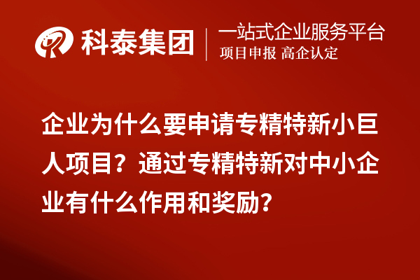企業(yè)為什么要申請(qǐng)專精特新小巨人項(xiàng)目？通過(guò)專精特新對(duì)中小企業(yè)有什么作用和獎(jiǎng)勵(lì)？