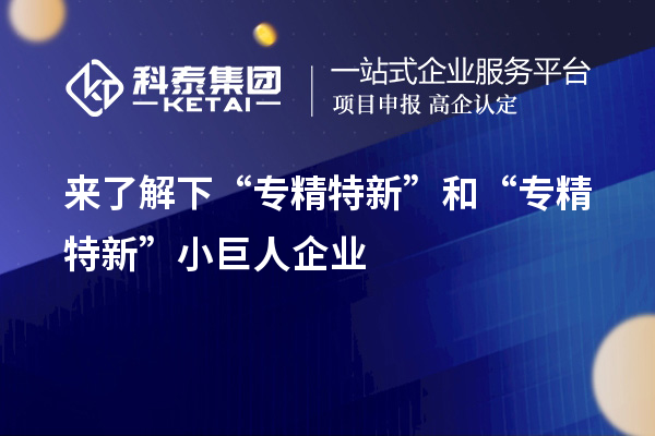 來(lái)了解下“專精特新”和“專精特新”小巨人企業(yè)