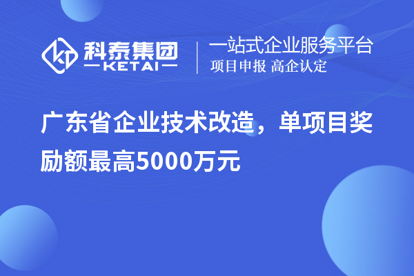 廣東省企業(yè)技術(shù)改造，單項目獎勵額最高5000萬元！