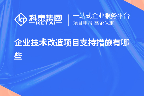 企業(yè)技術(shù)改造項目支持措施有哪些