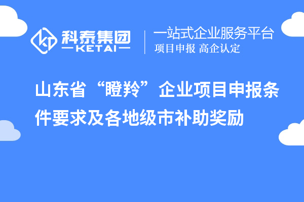 山東省“瞪羚”企業(yè)<a href=http://www.hsloq2267.cn/shenbao.html target=_blank class=infotextkey>項(xiàng)目申報(bào)</a>條件要求及各地級(jí)市補(bǔ)助獎(jiǎng)勵(lì)