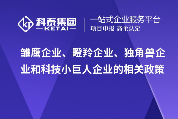 雛鷹企業(yè)、瞪羚企業(yè)、獨(dú)角獸企業(yè)和科技小巨人企業(yè)的相關(guān)政策
