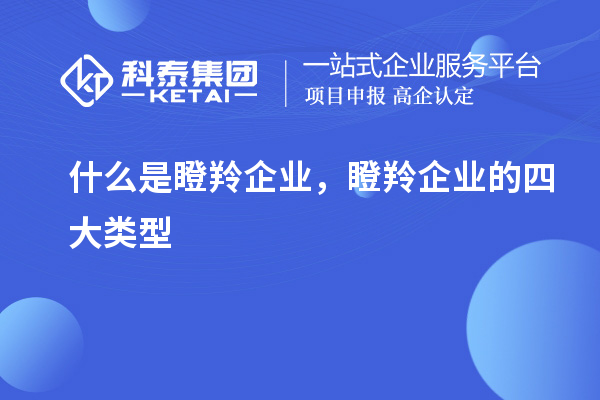 什么是瞪羚企業(yè)，瞪羚企業(yè)的四大類型