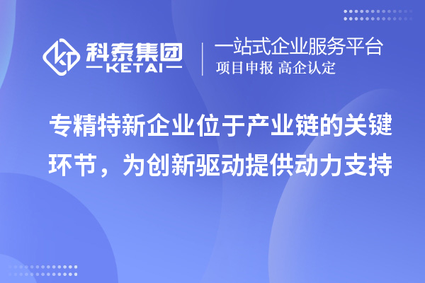 專精特新企業(yè)位于產(chǎn)業(yè)鏈的關(guān)鍵環(huán)節(jié)，為創(chuàng)新驅(qū)動(dòng)提供動(dòng)力支持