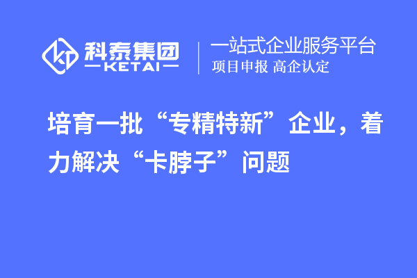 培育一批“專精特新”企業(yè)，著力解決“卡脖子”問(wèn)題
