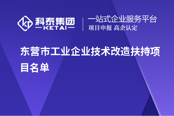 東營市工業(yè)企業(yè)技術改造扶持項目名單