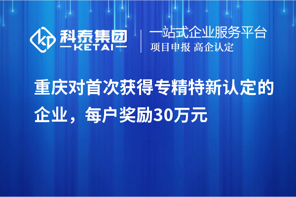 重慶對首次獲得專精特新認(rèn)定的企業(yè)，每戶獎勵30萬元