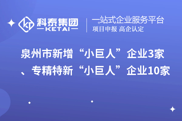 泉州市新增“小巨人”企業(yè)3家、專精特新“小巨人”企業(yè)10家