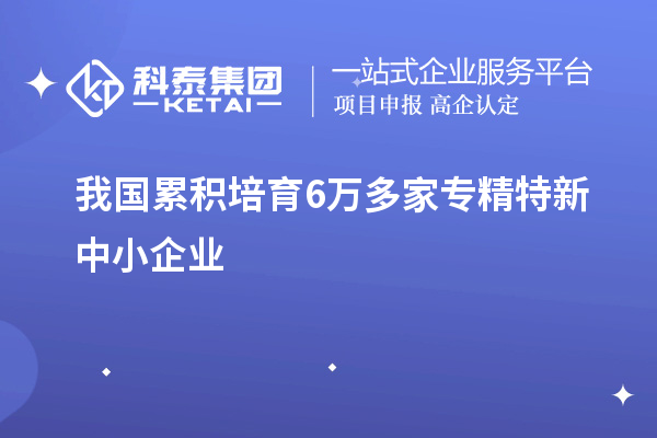 我國(guó)累積培育6萬(wàn)多家專精特新中小企業(yè)