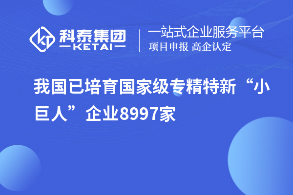 我國(guó)已培育國(guó)家級(jí)專精特新“小巨人”企業(yè)8997家