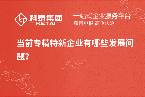 當前專精特新企業(yè)有哪些發(fā)展問題？