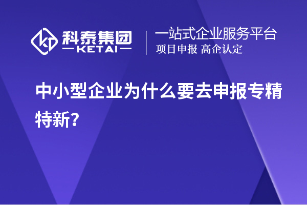 中小型企業(yè)為什么要去申報(bào)專精特新？