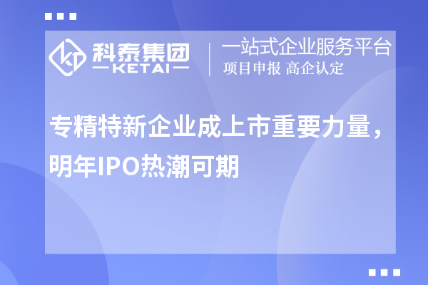專(zhuān)精特新企業(yè)成上市重要力量，明年IPO熱潮可期