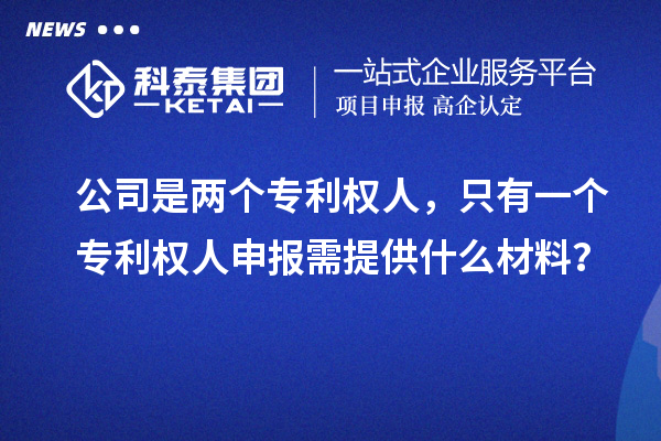 公司是兩個(gè)專(zhuān)利權(quán)人，只有一個(gè)專(zhuān)利權(quán)人申報(bào)需提供什么材料？