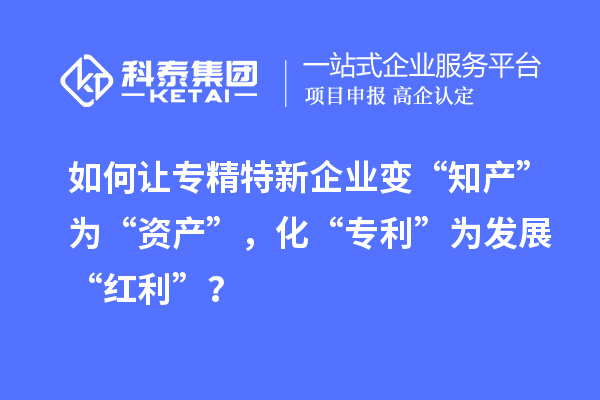 如何讓專精特新企業(yè)變“知產(chǎn)”為“資產(chǎn)”，化“專利”為發(fā)展“紅利”？