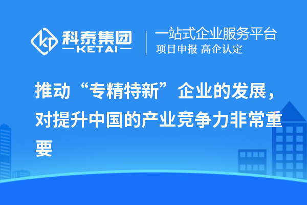 推動“專精特新”企業(yè)的發(fā)展，對提升中國的產(chǎn)業(yè)競爭力非常重要