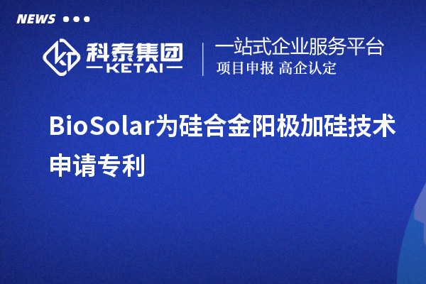 BioSolar為硅合金陽(yáng)極加硅技術(shù)申請(qǐng)專(zhuān)利