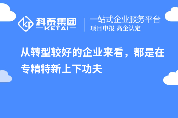 從轉(zhuǎn)型較好的企業(yè)來看，都是在專精特新上下功夫