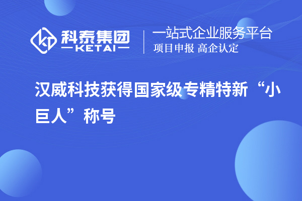 漢威科技獲得國(guó)家級(jí)專精特新“小巨人”稱號(hào)