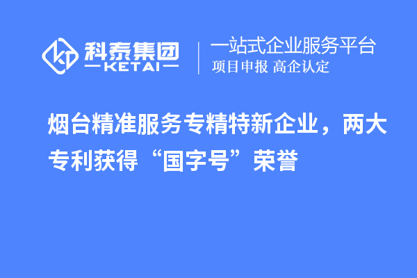 煙臺精準(zhǔn)服務(wù)專精特新企業(yè)，兩大專利獲得“國字號”榮譽
