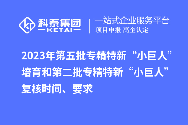 2023年第五批專(zhuān)精特新“小巨人”培育和第二批專(zhuān)精特新“小巨人”復(fù)核時(shí)間、要求