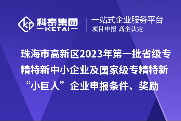 珠海市高新區(qū)2023年第一批省級專精特新中小企業(yè)及國家級專精特新“小巨人”企業(yè)申報條件、獎勵