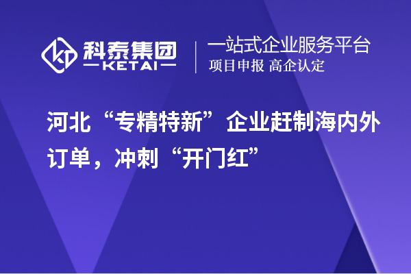河北“專精特新”企業(yè)趕制海內(nèi)外訂單，沖刺“開門紅”