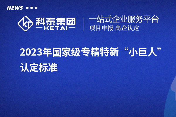 2023年國家級專精特新“小巨人”認(rèn)定標(biāo)準(zhǔn)