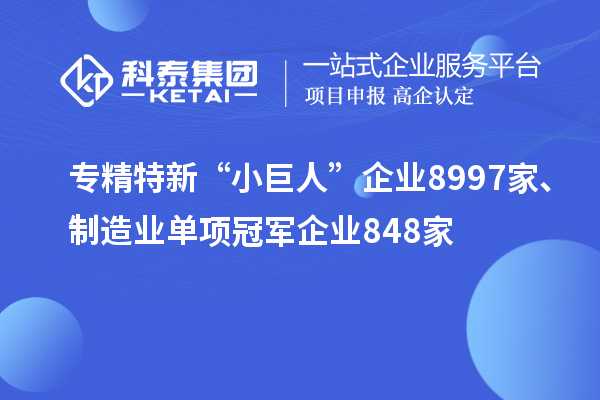 專精特新“小巨人”企業(yè)8997家、制造業(yè)單項(xiàng)冠軍企業(yè)848家
