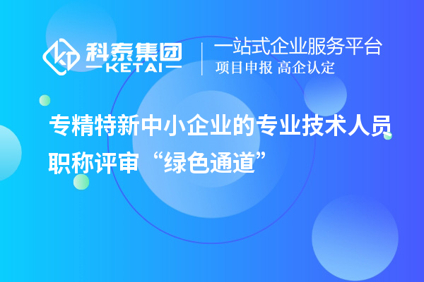 專精特新中小企業(yè)的專業(yè)技術(shù)人員職稱評審“綠色通道”