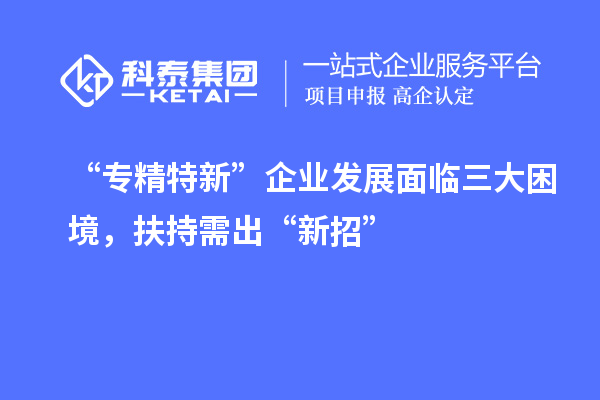 “專精特新”企業(yè)發(fā)展面臨三大困境，扶持需出“新招”
