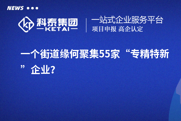 一個街道緣何聚集55家“專精特新”企業(yè)？