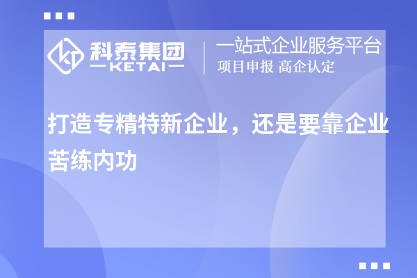 打造專精特新企業(yè)，還是要靠企業(yè)苦練內(nèi)功