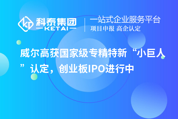 威爾高獲國家級專精特新“小巨人”認(rèn)定，創(chuàng)業(yè)板IPO進(jìn)行中