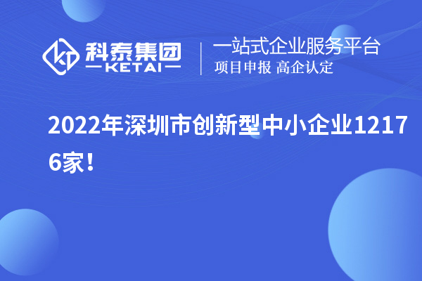2022年深圳市創(chuàng)新型中小企業(yè)12176家！