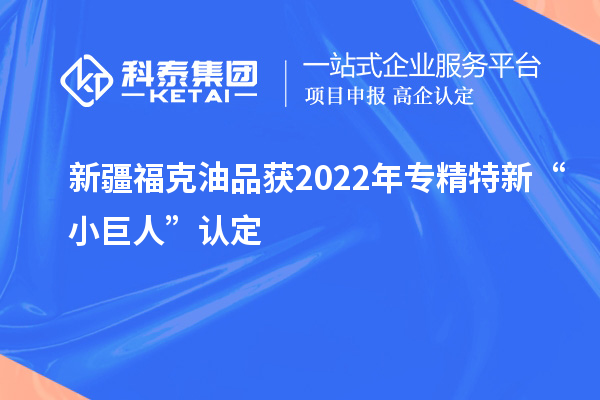 新疆?？擞推帆@2022年專精特新“小巨人”認定