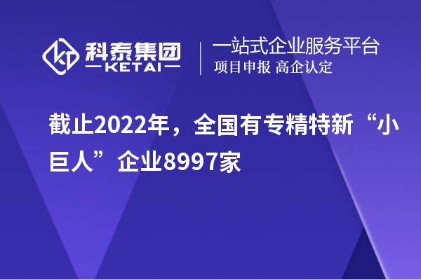 截止2022年，全國(guó)有專精特新“小巨人”企業(yè)8997家