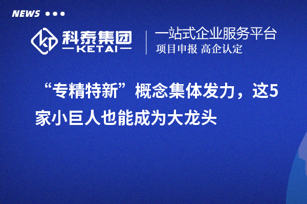 “專精特新”概念集體發(fā)力，這5家小巨人也能成為大龍頭