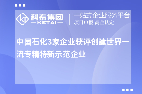 中國(guó)石化3家企業(yè)獲評(píng)創(chuàng)建世界一流專(zhuān)精特新示范企業(yè)