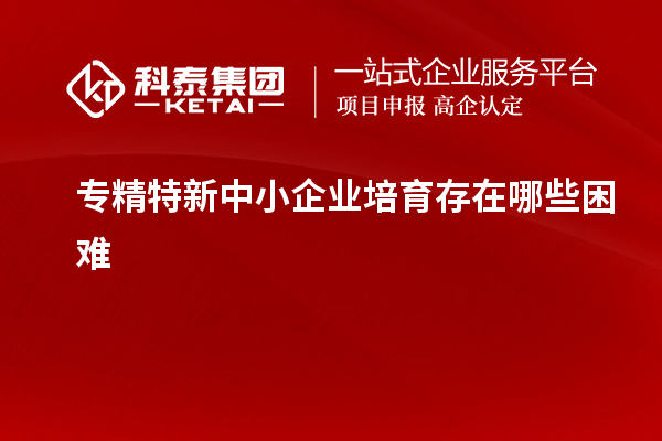 <a href=http://www.hsloq2267.cn/fuwu/zhuanjingtexin.html target=_blank class=infotextkey>專精特新中小企業(yè)</a>培育存在哪些困難