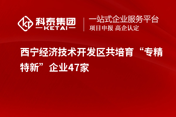 西寧經(jīng)濟(jì)技術(shù)開(kāi)發(fā)區(qū)共培育“專(zhuān)精特新”企業(yè)47家