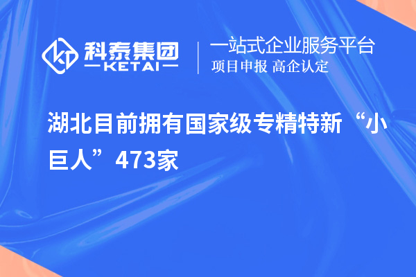 湖北目前擁有國(guó)家級(jí)專精特新“小巨人”473家