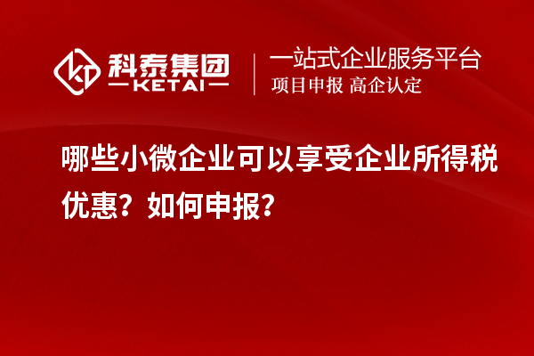 哪些小微企業(yè)可以享受企業(yè)所得稅優(yōu)惠？如何申報(bào)？