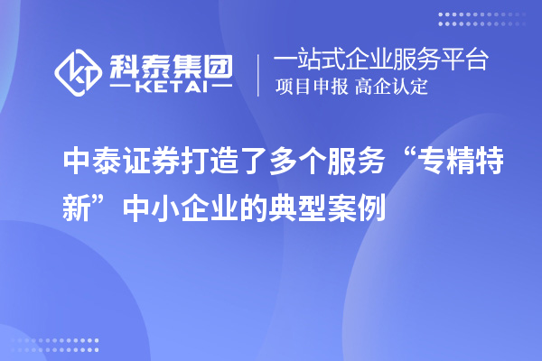 中泰證券打造了多個服務“專精特新”中小企業(yè)的典型案例