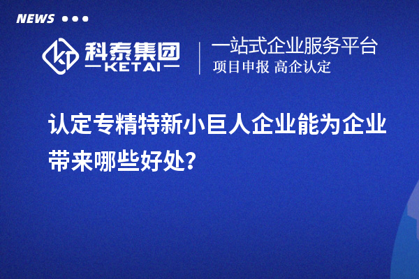 認(rèn)定專精特新小巨人企業(yè)能為企業(yè)帶來(lái)哪些好處？